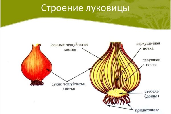 Кракен ссылку где