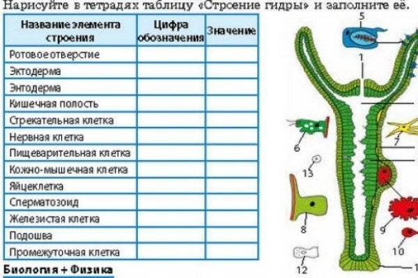 Что такое кракен сайт в россии