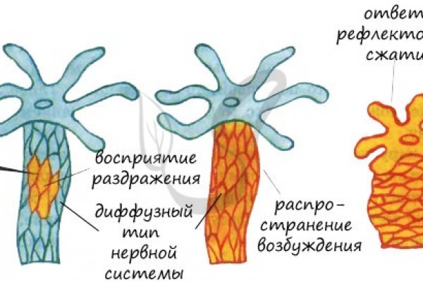 Kraken ссылка для тору