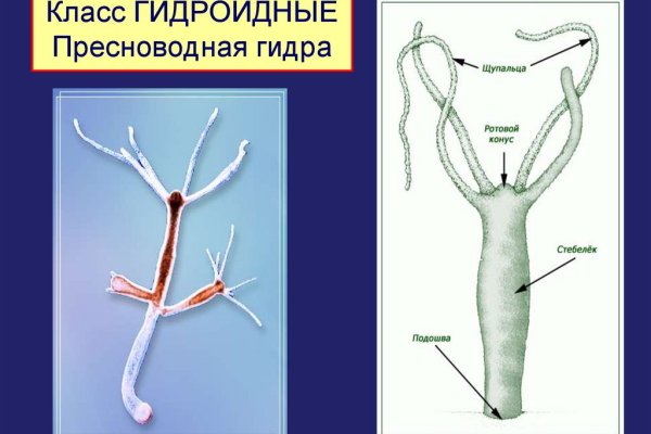 Kraken магазин интернет