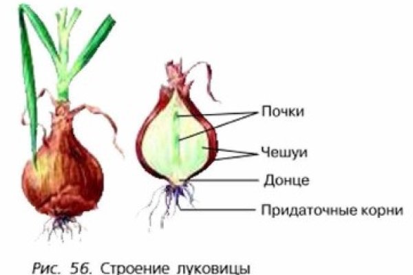 Как зайти на кракен через тор браузер